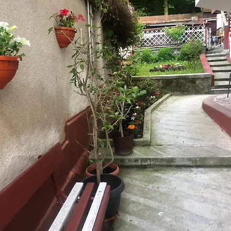 Zeno * Brasov
