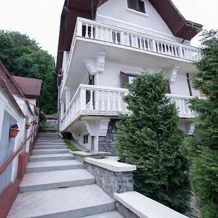Zeno Villa Brasov